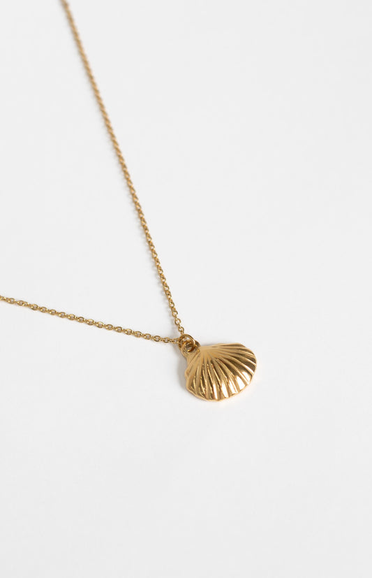 Ariel Gold Shell Necklace