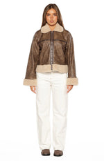 Cloud Brown Aviator Jacket Image