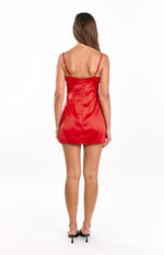 Honey Red Mini Dress Image