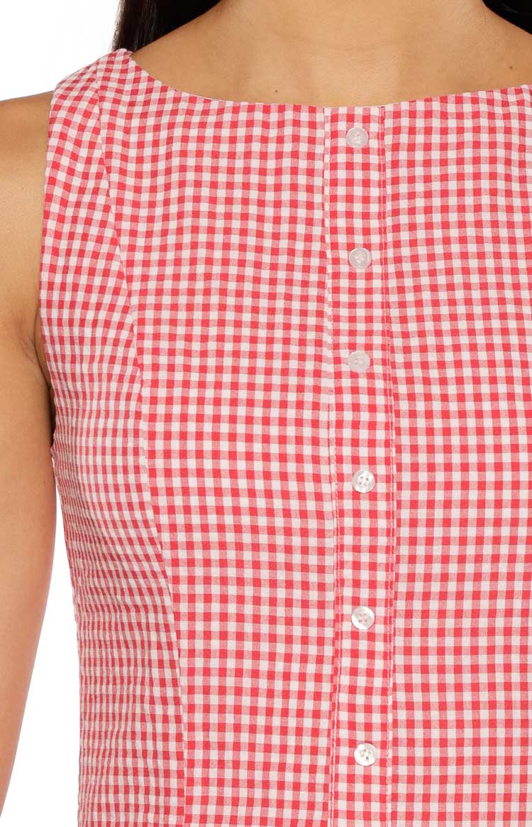 Jordyn Red Gingham Mini Dress Image