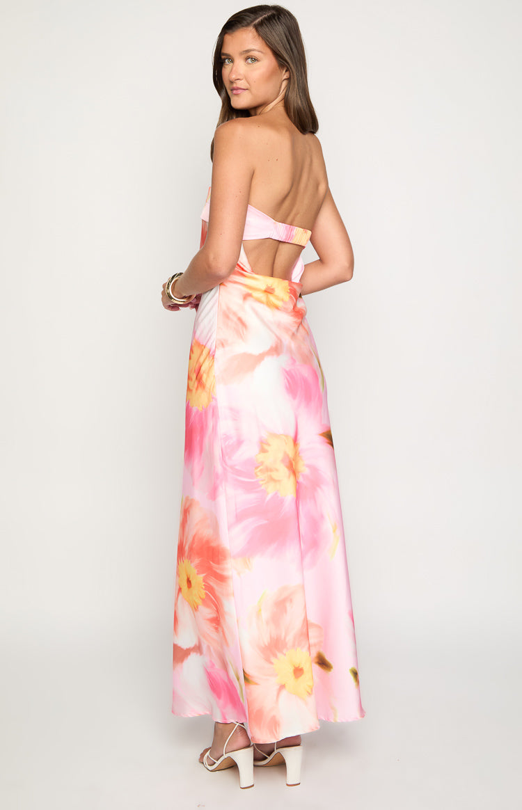 Maiah Pink Floral Print Maxi Dress Image
