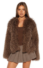 Margot Brown Shaggy Fur Jacket Image